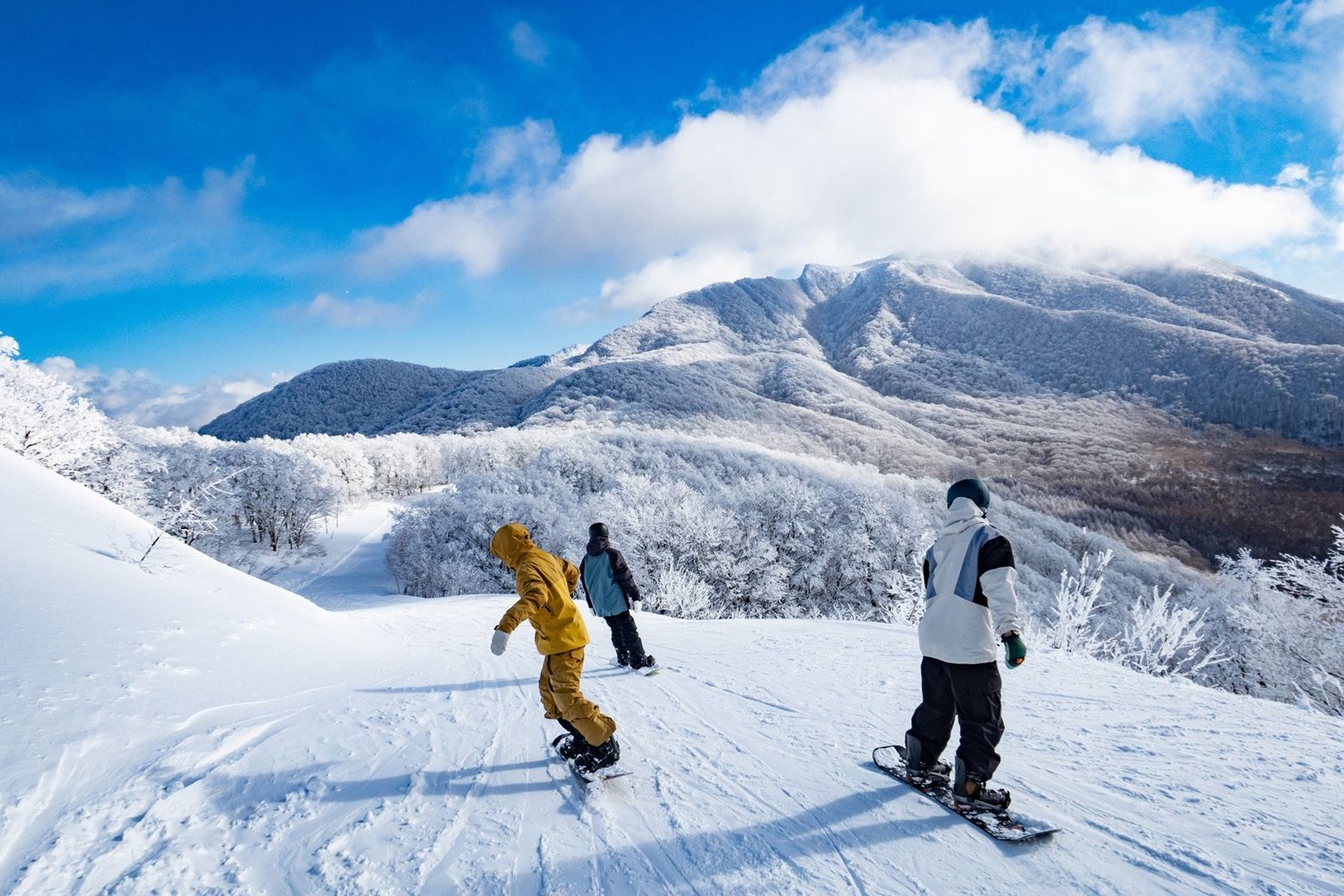 星宇航空,星野集團,日本,北海道,TOMAMU度假村,仙台,仙台磐梯山,日本東北,滑雪,雪地（圖／星宇航空提供）