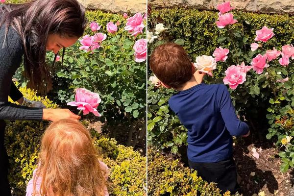 梅根日前分享與亞契、莉莉貝採玫瑰的照片，兩個孩子一頭紅髮，明顯遺傳自爸爸哈利。（翻攝meghan IG）