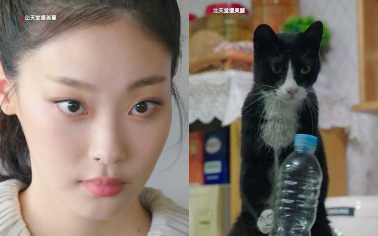 韓劇《比天堂還美麗》必看6大亮點！比《苦盡柑來》還好哭，有養毛孩的人撐不過5秒絕對淚崩
