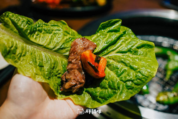 ▲▼日本大阪燒肉吃到飽推薦【炭火燒肉力丸心齋橋店】。（圖／部落客胖貓咪的奇幻旅程授權提供）