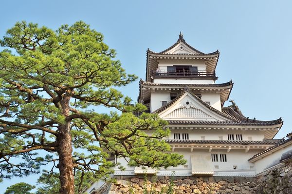 ▲易遊網今分享旅遊熱點。（圖／易遊網提供）