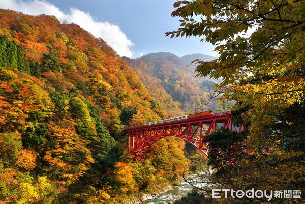 ▲▼  一票玩轉台日雙鐵阿里山林鐵x黑部峽谷鐵道 期間限定互惠開跑   。（圖／阿里山林鐵提供）