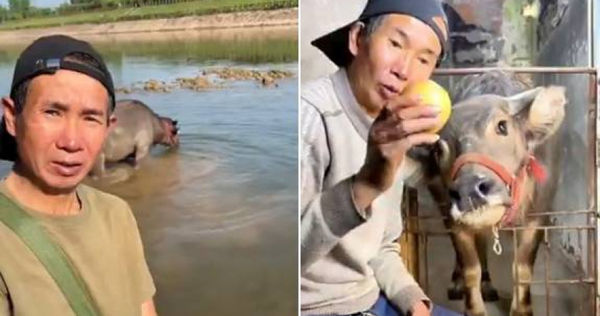 抖音一名擁有19萬粉絲的博主，被翻出10年前的黑歷史。（圖／翻攝自放牛人與妞妞抖音）