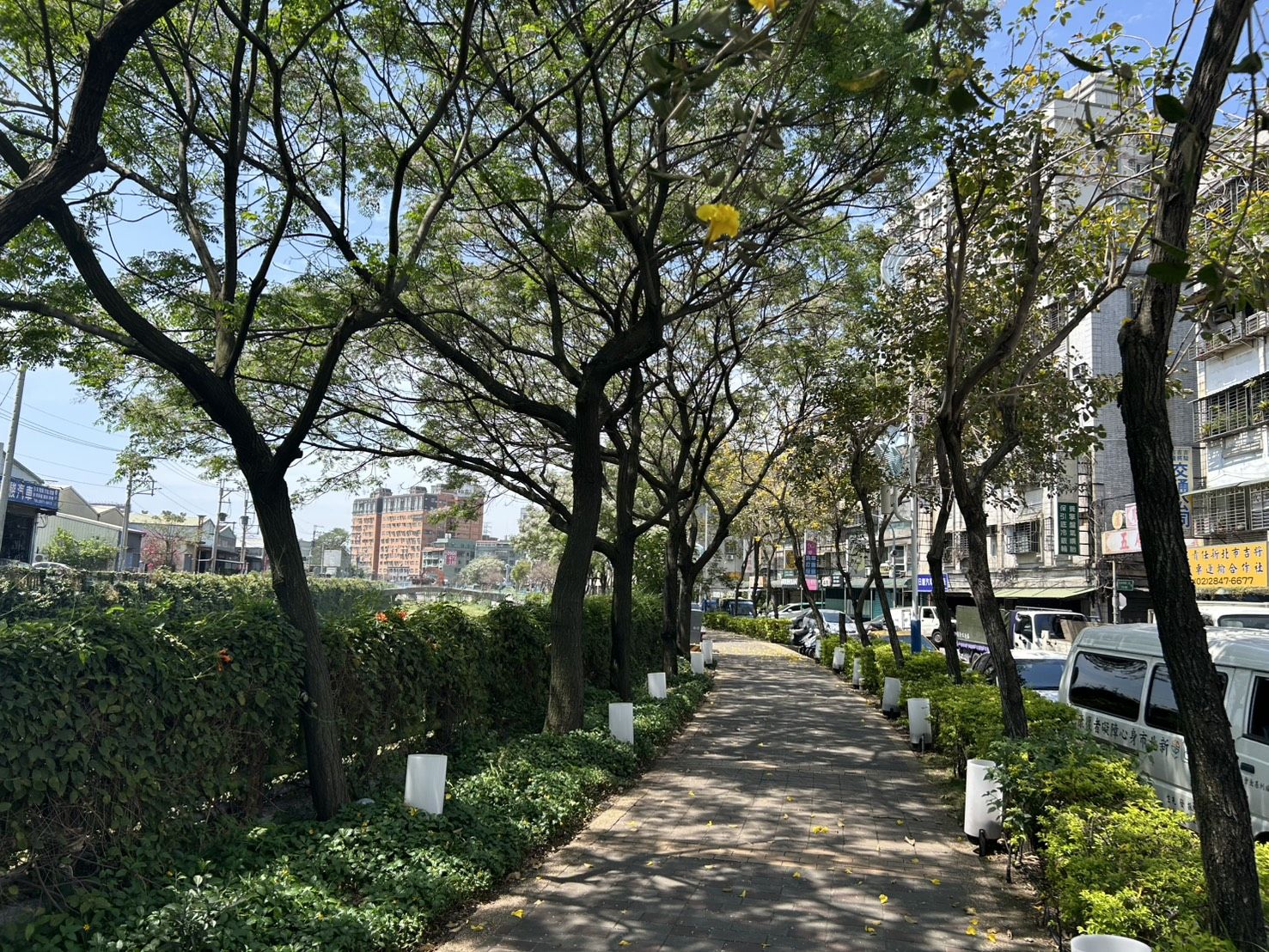 ▲新北修剪1338棵路樹防災。（圖／新北市水利局提供）