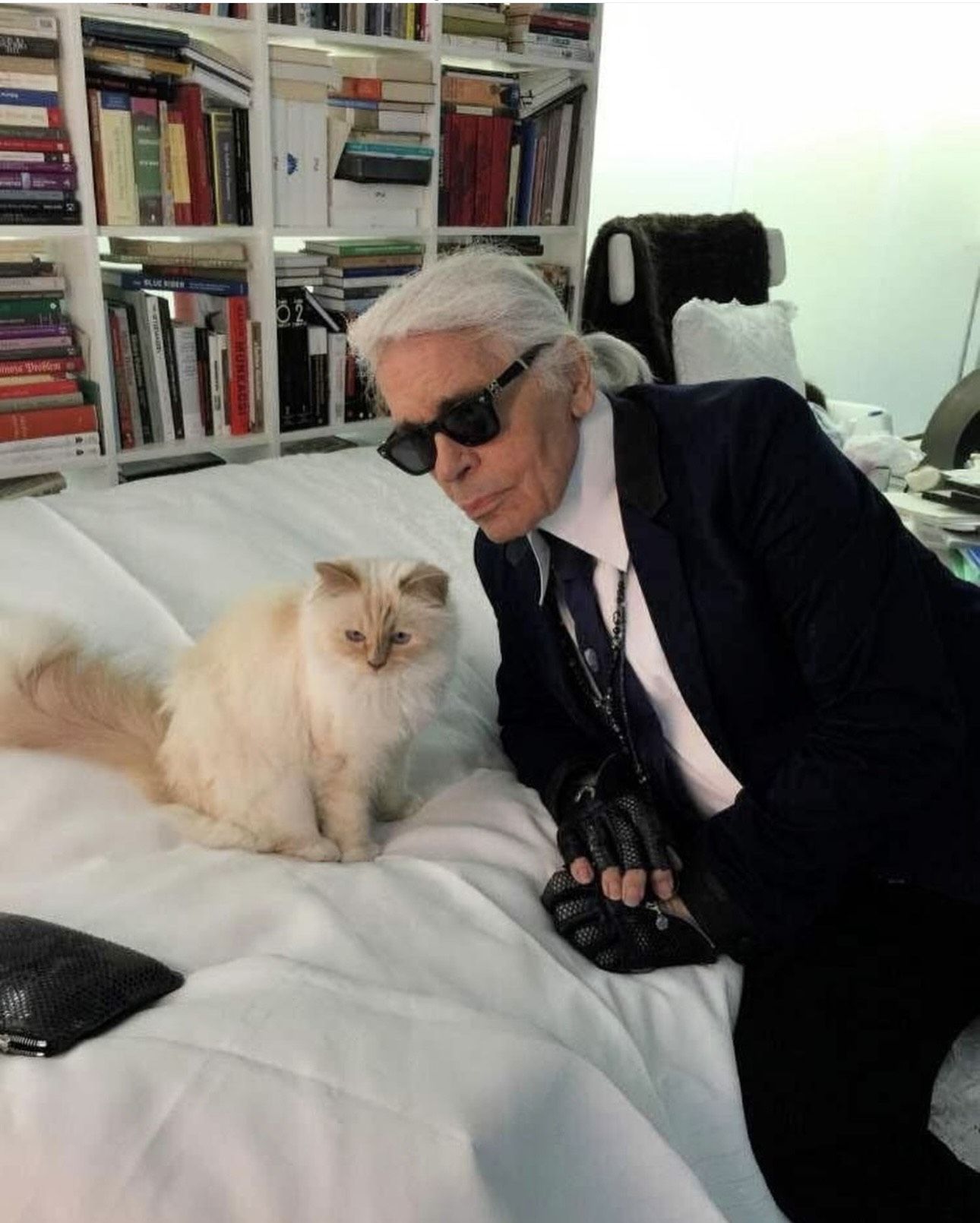 ▲▼ Choupette            。（圖／翻攝ＩＧ）