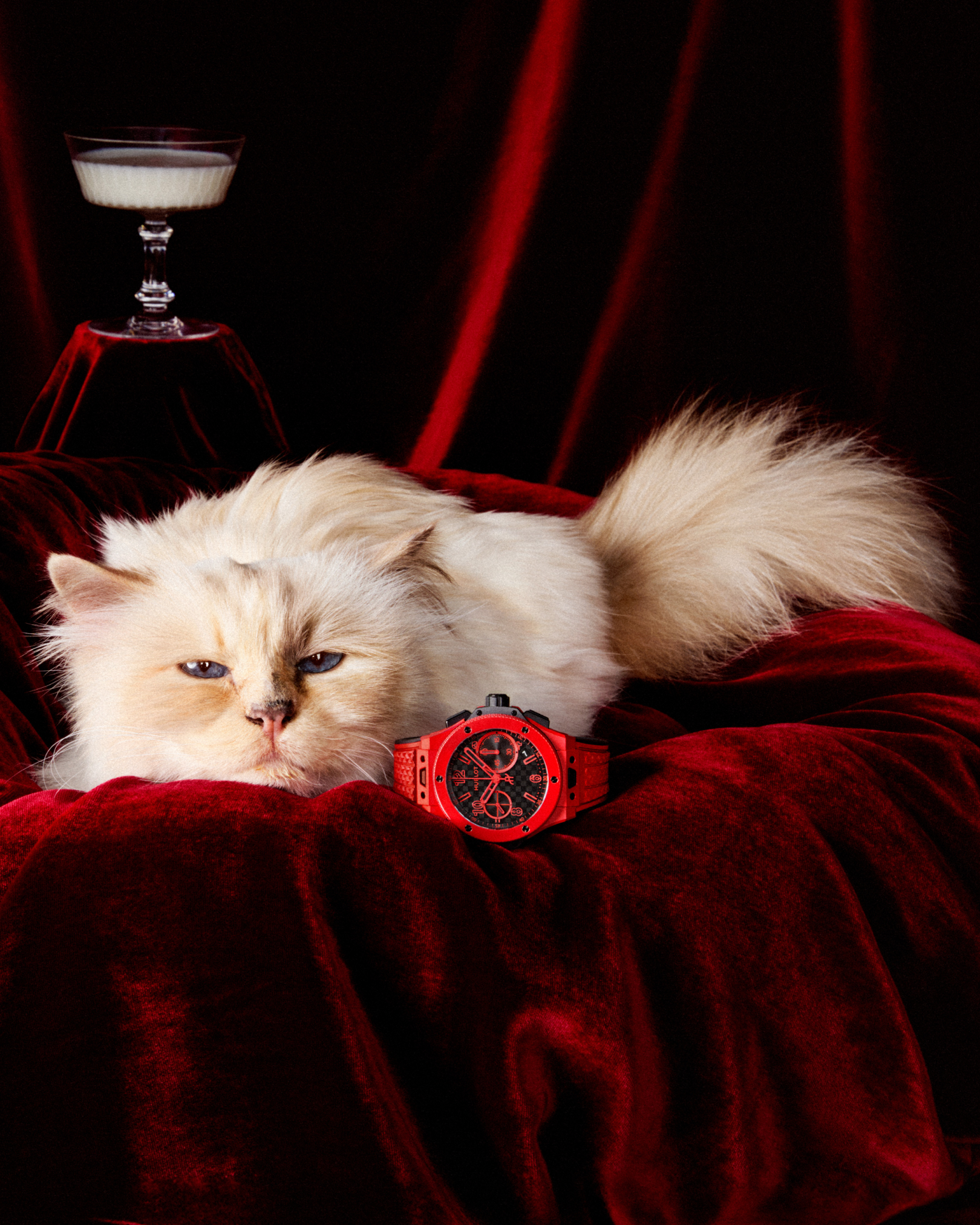 ▲▼ Choupette            。（圖／翻攝IG）