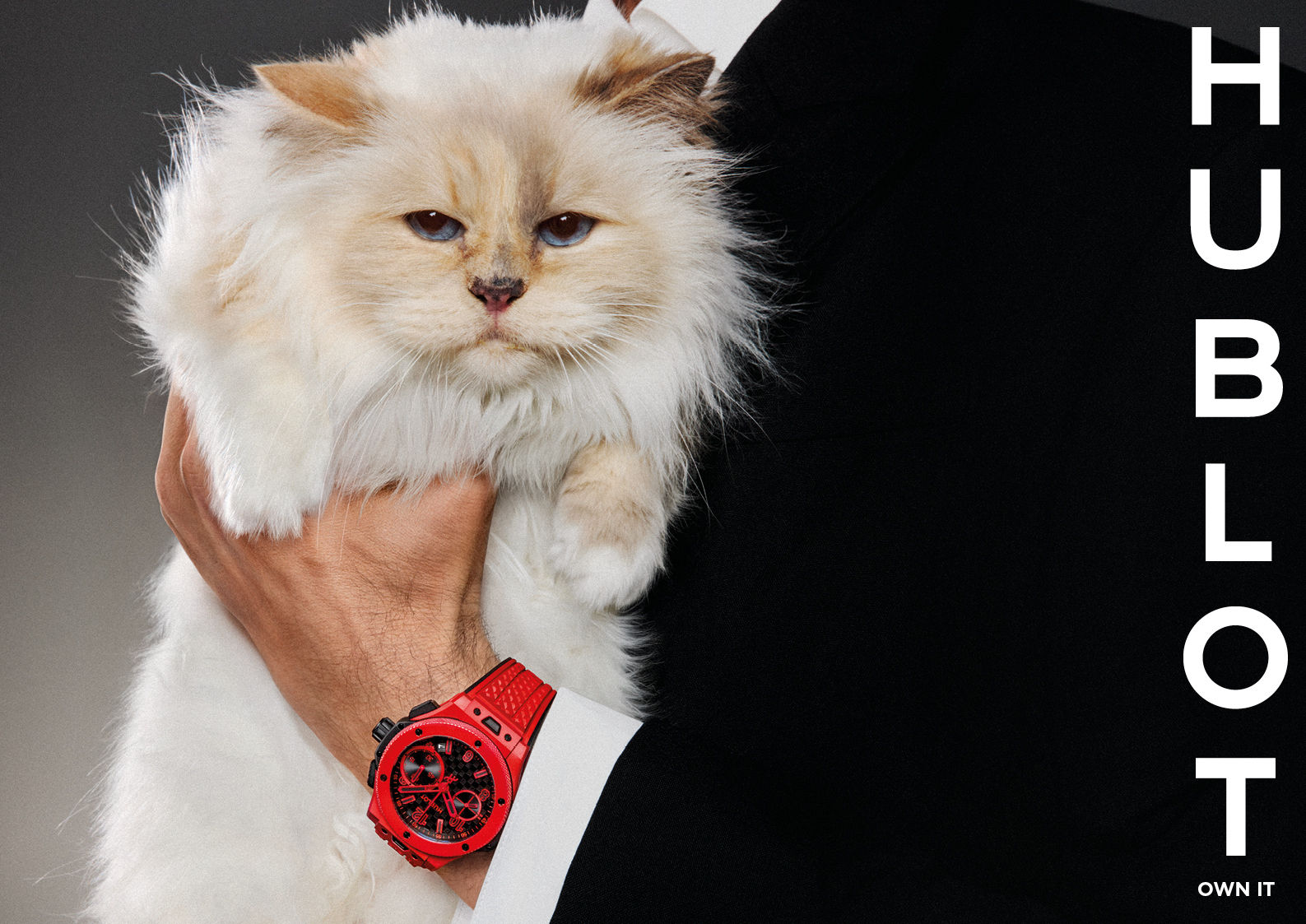 ▲▼ Choupette            。（圖／翻攝IG）