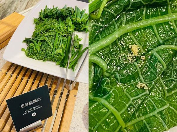 ▲高雄星級酒店早餐驚見蟲卵，住客險吞肚。（圖／翻攝自fb／好想住飯店⭕好康.踩雷不藏私）