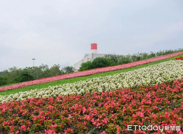 ▲內湖區葫蘆洲基隆河右岸的「內湖復育園區公園」，4月種植1.6萬株秋海棠，預計美到5月底。（圖／記者彭懷玉攝）