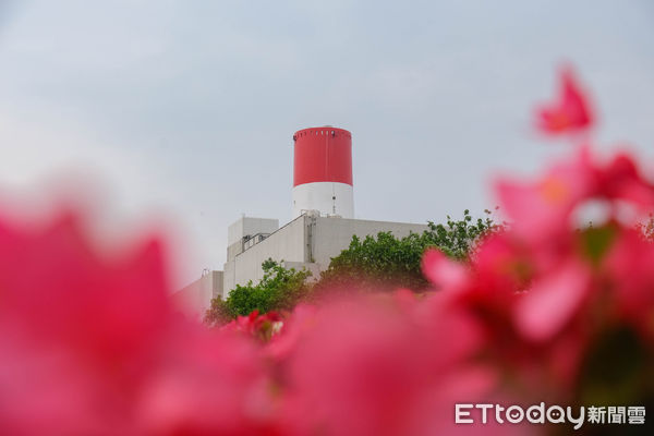 ▲內湖區葫蘆洲基隆河右岸的「內湖復育園區公園」，4月種植1.6萬株秋海棠，預計美到5月底。（圖／記者彭懷玉攝）