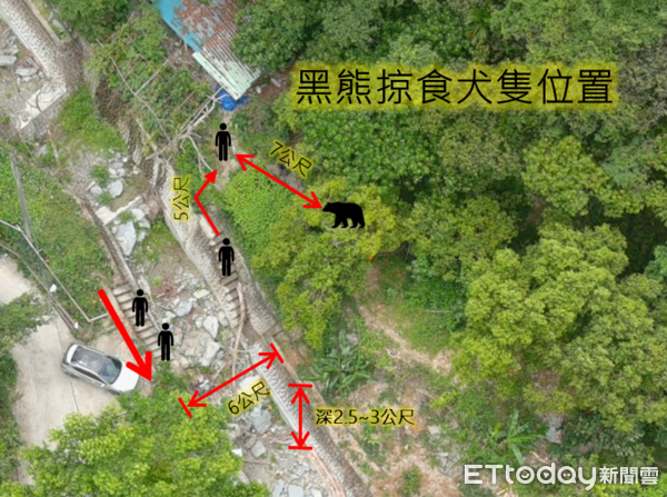 ▲▼巡護隊員遭遇黑熊的現場與人熊相對位置示意圖。（圖／花蓮分署提供，下同）