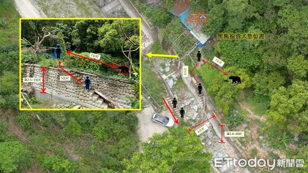 ▲▼巡護隊員遭遇黑熊的現場與人熊相對位置示意圖。（圖／花蓮分署提供，下同）