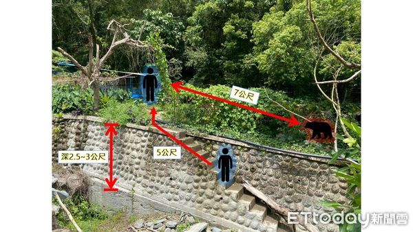 ▲▼巡護隊員遭遇黑熊的現場與人熊相對位置示意圖。（圖／花蓮分署提供，下同）
