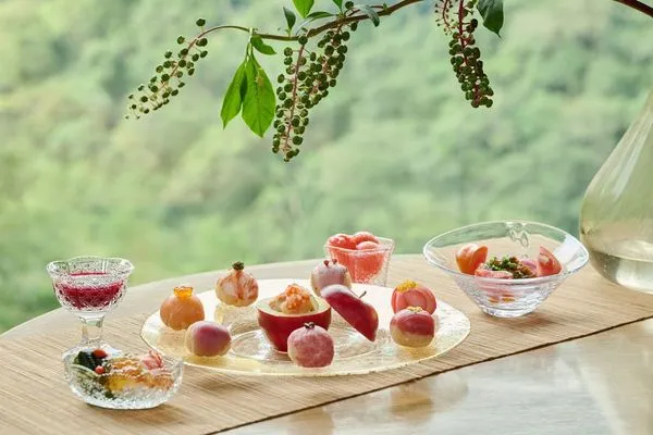 ▲星野集團「虹夕諾雅 谷關」預告，將於7月7日起推出「五行養生之旅：夏赤綻放」限定專案。（圖／虹夕諾雅 谷關提供）