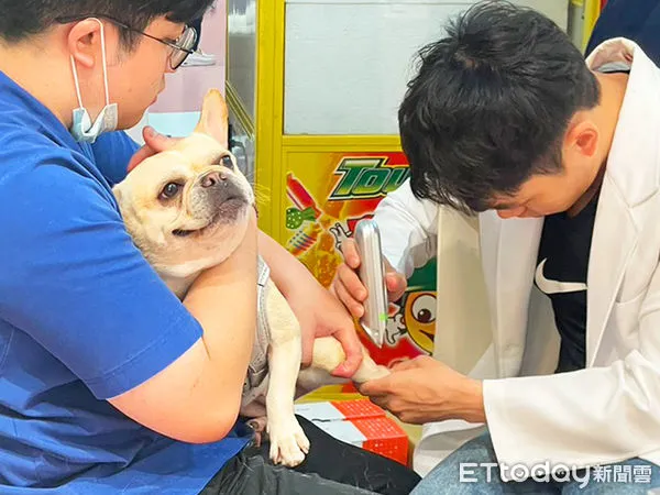 免費寵物健檢。（圖／慈愛動物醫院提供）