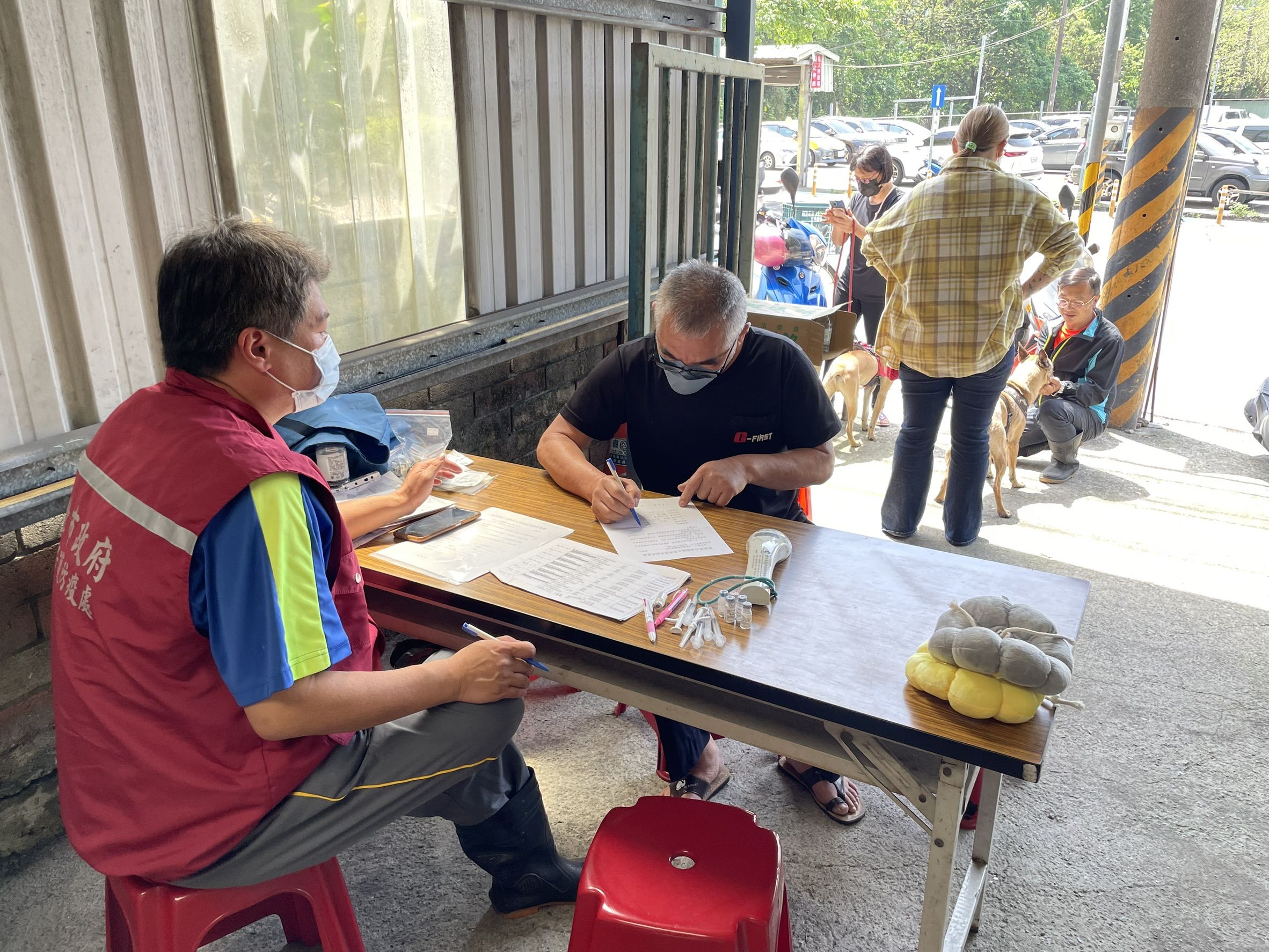 ▲新北攜手土城永寧里 免費絕育守護社區環境。（圖／新北市動保處提供）