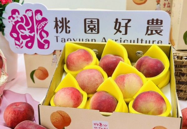 ▲桃園13優秀女力行銷復興區「媽媽桃」  