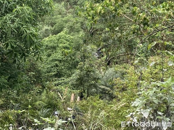 ▲宜蘭武荖坑林道發生墜谷事故，駕駛不慎失控，命喪懸崖。（圖／記者游芳男翻攝）