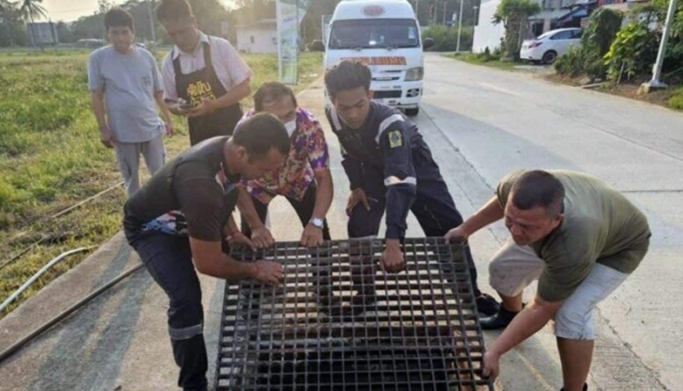 ▲▼泰2自閉兒「爬進水溝後」離奇消失！　500m遠下水道被發現。（圖／翻攝自KhaoSod）