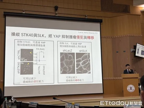 ▲▼臺大醫院與北醫大攜手合作，推動肝癌與腎臟病精準醫療新紀元。（圖／記者洪巧藍攝）