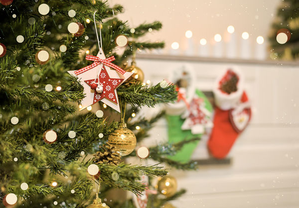 ▲▼聖誕樹,耶誕樹,聖誕節,耶誕節。（圖／VCG）