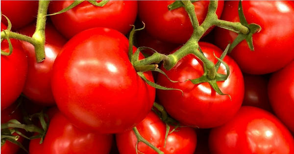 （示意圖／翻攝自pexels）