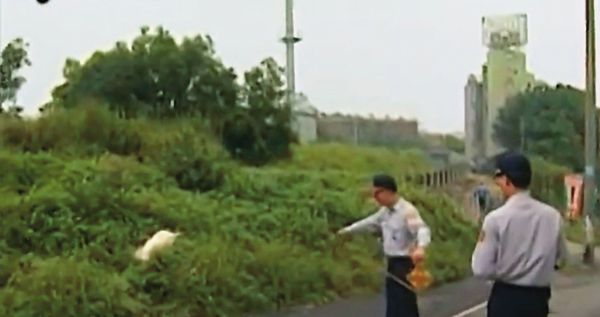 邱俊雄將少女棄屍在交流道旁的草叢，屍體被遛狗的民眾發現報警。（翻攝東森新聞）