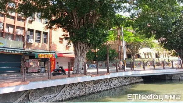 ▲▼左營蓮池潭「天空之城樹」。（圖／記者許宥孺翻攝）