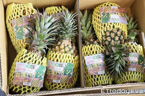 ▲台南金鑽鳳梨外銷茨城縣供3.3萬學童午餐水果，黃偉哲出席鳴謝農業部與日方協力。（記者林東良翻攝，下同）