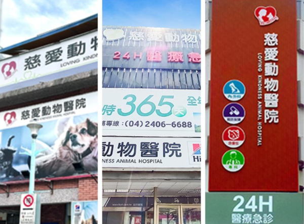 慈愛動物醫院。（圖／慈愛動物醫院提供）