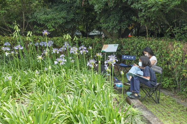 ▲內雙溪自然中心每年五月迎愛情花開。（圖／北市大地處提供）
