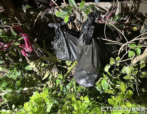 ▲▼新莊警方在民宅查獲大麻農場，起獲栽種工具及肥料，在公園找到丟棄的大麻活株             。（圖／記者陳以昇翻攝）