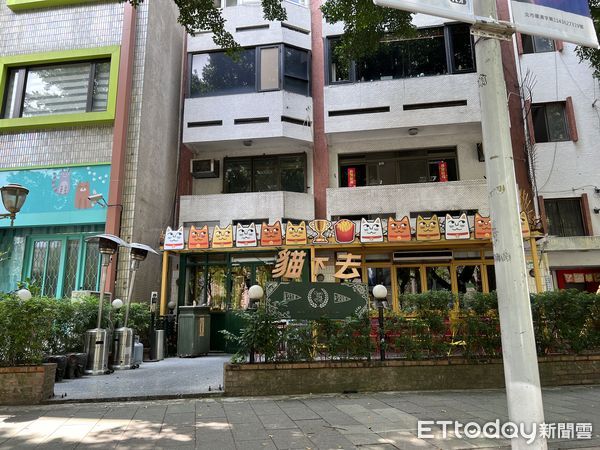 ▲▼        貓下去,民生東路,麥當勞     。（圖／記者項瀚攝）
