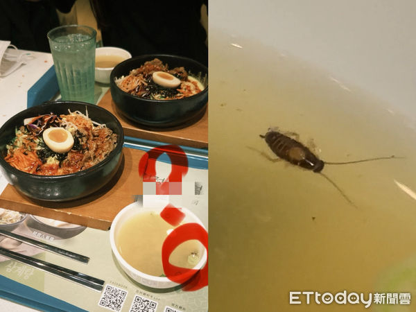 ▲▼美食街吃韓式「湯裡有小強」！　店家認錯&hellip;同鍋湯再盛一碗。（圖／Threads／zcyuki_授權提供）