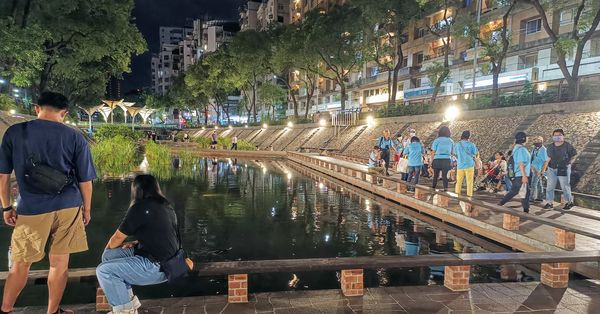 ▲中港大排,中港大排穗花棋盤腳已綻放。（圖／新北市高灘處提供）