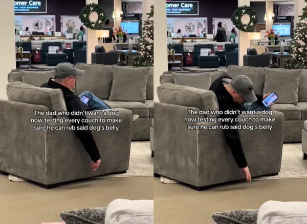 叔叔買沙發行為怪異。（圖／翻攝自Tiktok@astraightgeeksesh）