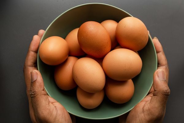 ▲▼健腦食物。（圖／Unsplash）