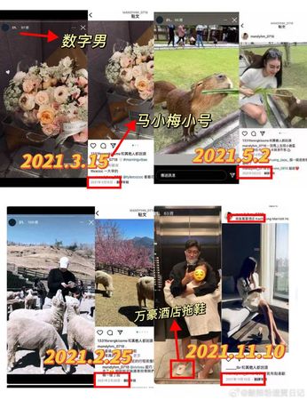 獨家／鍵盤柯南揪Mandy同時交往4男鐵證　「叫床太大聲」獲法院認證