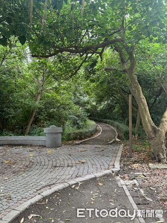 ▲張嘉郡會勘兩項工程，指出攸關居民防災安全與生活休憩品質，中央與地方應緊密協作、加快進度，儘速改善環境，以保障民眾權益。（圖／記者游瓊華翻攝）