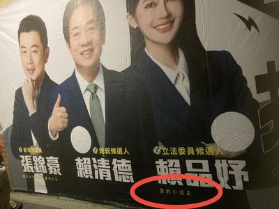 賴品妤嗆奴才 網翻出競選看板「自稱雲豹小公主」狠打臉