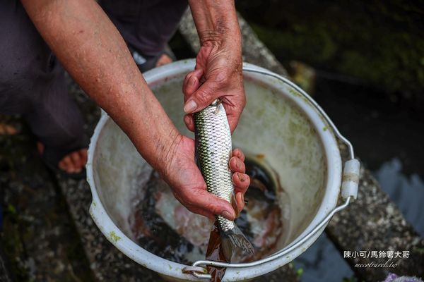 ▲▼【宜蘭員山美食】苦花大王，山中隱藏版！釣魚料理餐廳。（圖／部落客陳小可的吃喝玩樂授權提供）