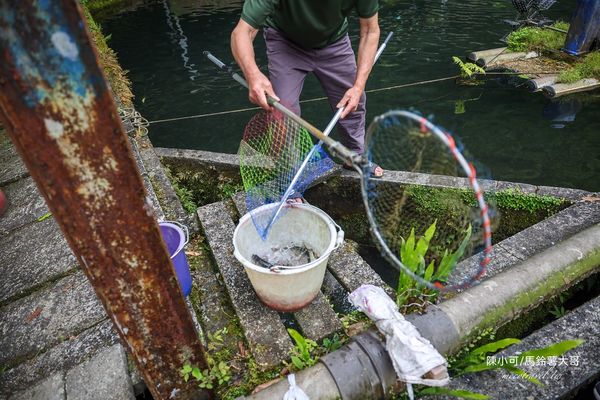 ▲▼【宜蘭員山美食】苦花大王，山中隱藏版！釣魚料理餐廳。（圖／部落客陳小可的吃喝玩樂授權提供）