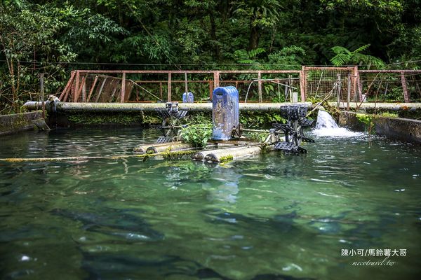 ▲▼【宜蘭員山美食】苦花大王，山中隱藏版！釣魚料理餐廳。（圖／部落客陳小可的吃喝玩樂授權提供）