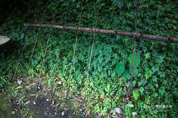 ▲▼【宜蘭員山美食】苦花大王，山中隱藏版！釣魚料理餐廳。（圖／部落客陳小可的吃喝玩樂授權提供）