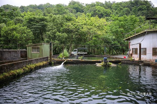 ▲▼【宜蘭員山美食】苦花大王，山中隱藏版！釣魚料理餐廳。（圖／部落客陳小可的吃喝玩樂授權提供）