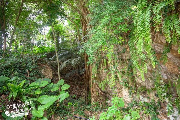 ▲▼CAVE OKINAWA鐘乳洞。（圖／部落客滿分的旅遊札記授權提供）