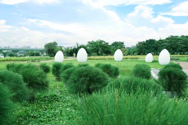 ▲「2025新北河濱蝶戀季」明（10日）於板橋蝴蝶公園登場。（圖／高灘處提供）