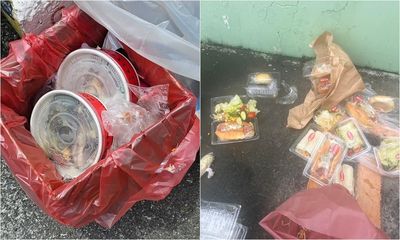 福食被糟蹋!垃圾桶驚見「完整2便當」 後段香燈腳餓喊心痛
