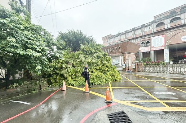 ▲▲桃園市龜山區幸福國小旁今天上午突來大雷雨導致路樹傾倒，龜山警方到場管制交通，避免行人誤闖。（圖／龜山警方提供）