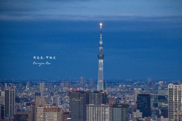 ▲▼【東京都廳展望台】免費東京夜景觀景台推薦！45樓高空景觀可眺望晴空塔東京鐵塔富士山。（圖／部落客周花花，甲飽沒授權提供）
